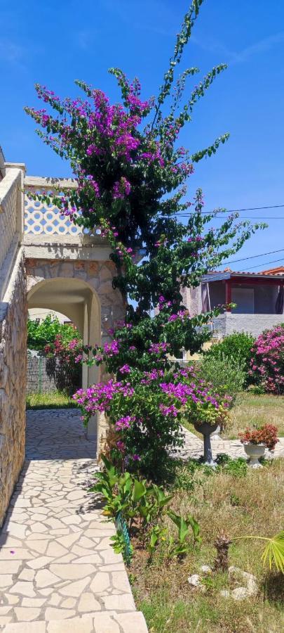 Villa Kadinela, 200M From Kamenjak, Huge Quiet Garden With Barbecue, 2 New Kitchens Премантура Экстерьер фото